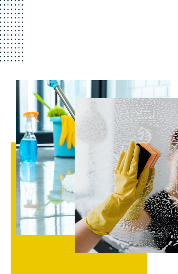 Identidad empresarial BrillaPlus